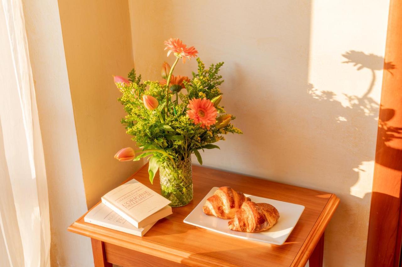 Mediterraneo Tartufoexperience Bed and Breakfast Pizzo  Exteriör bild